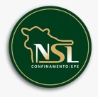 NSL